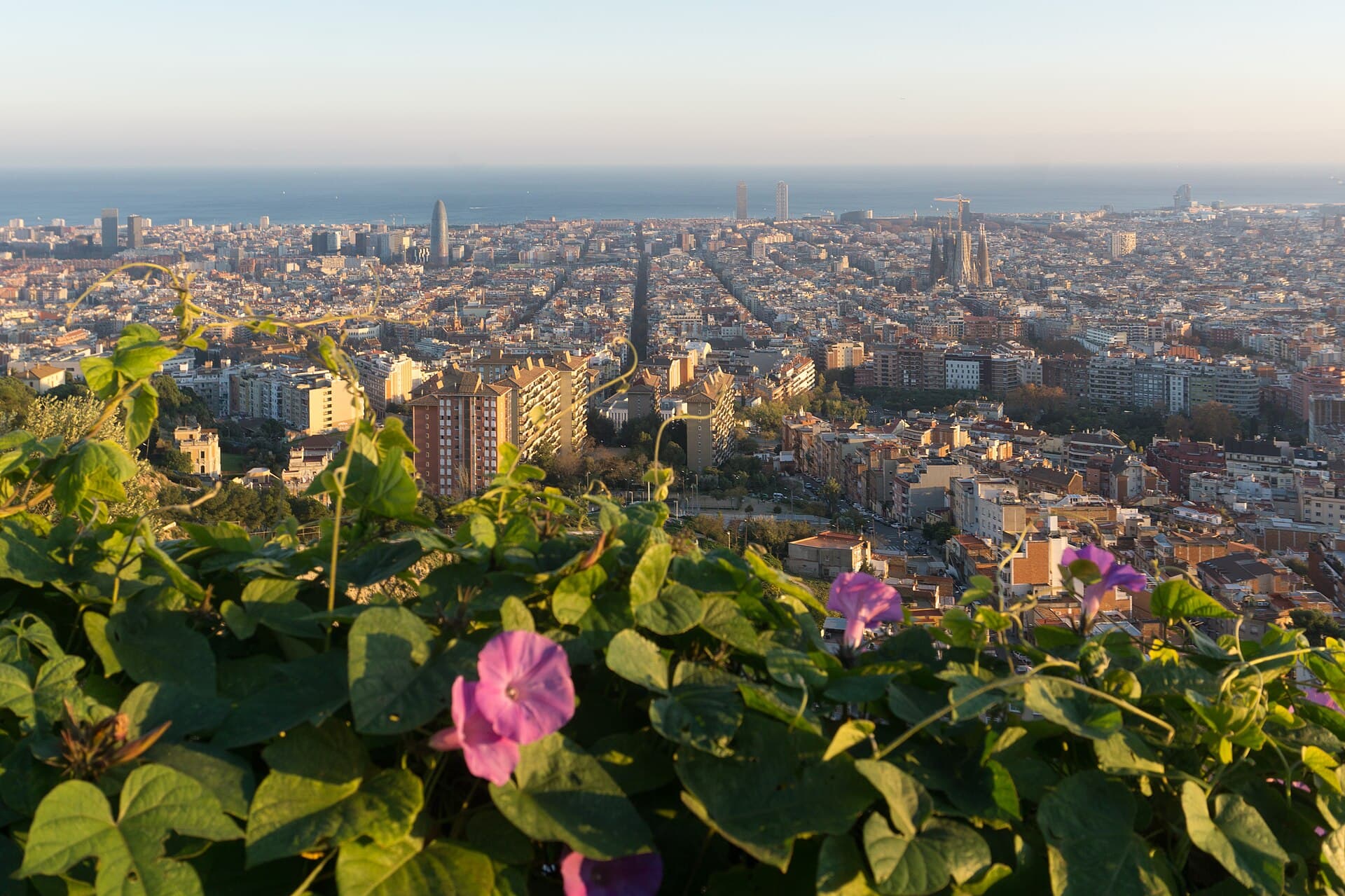 Vue panoramique sur Barcelone depuis les plateformes en béton des Bunkers del Carmel