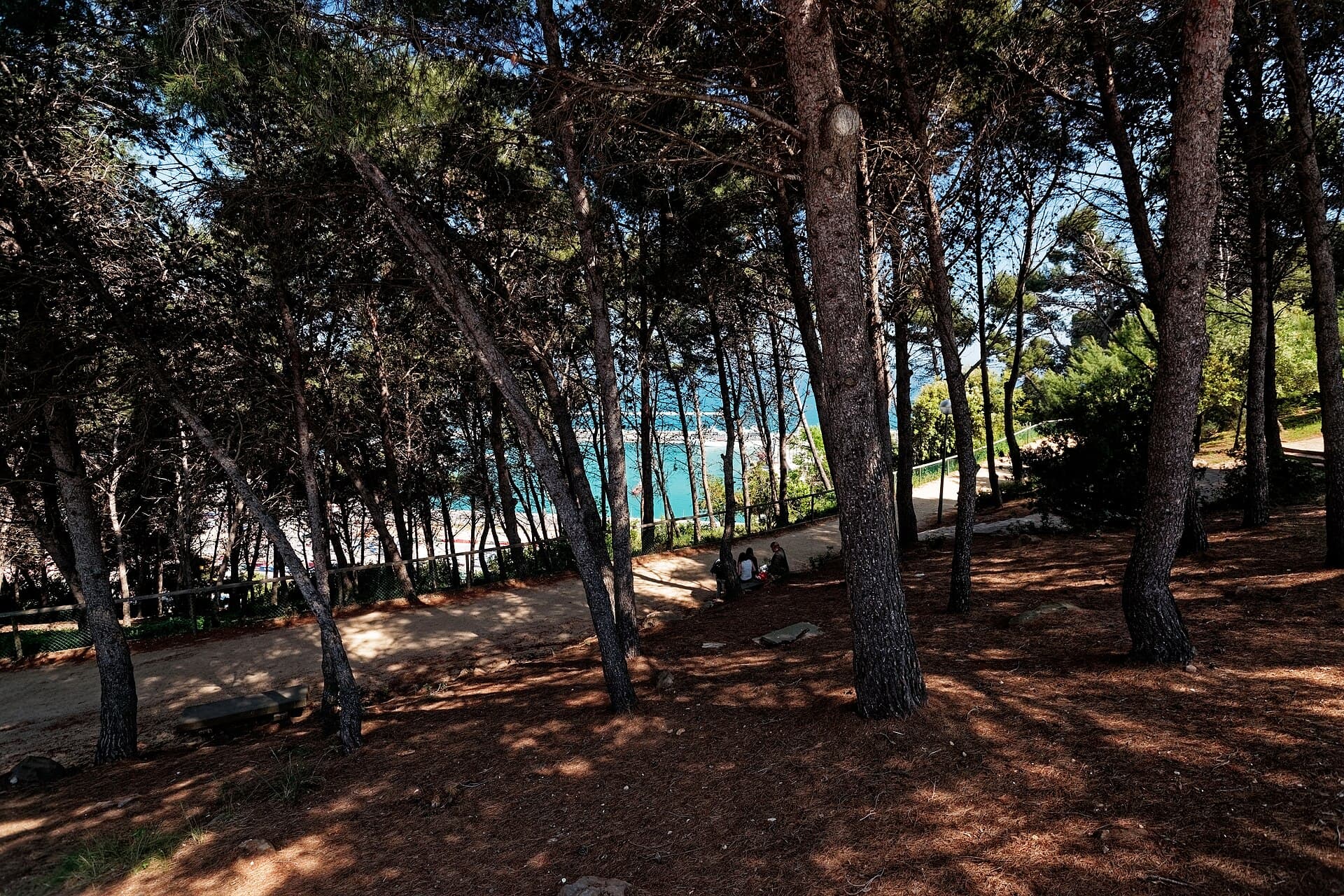 Vue depuis la colline de Montjuïc sur le port de Barcelone et les terminaux de croisière, avec la mer en arrière-plan